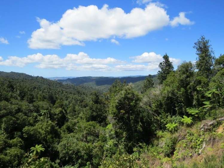 2 Mahakirau Road Coromandel_10