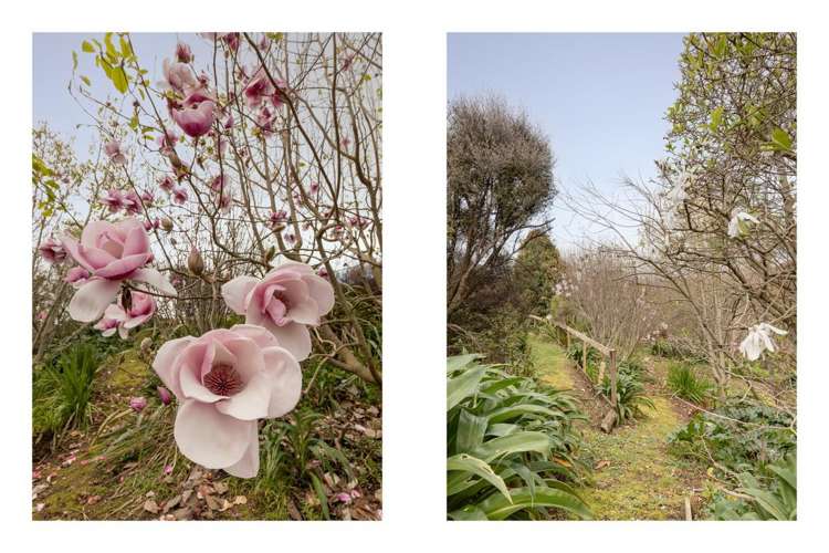 5 Olive Close Omokoroa_22