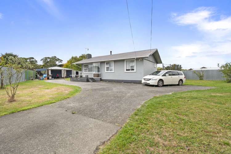 13 Flower Street Bulls_15