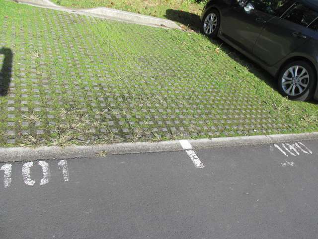 Gd/12 Morning Star Place Mount Albert_4