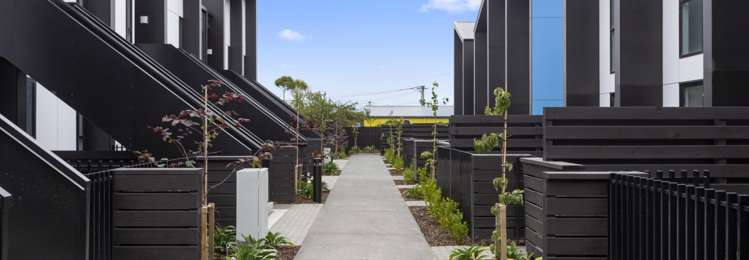 350 Colombo Street Sydenham_0