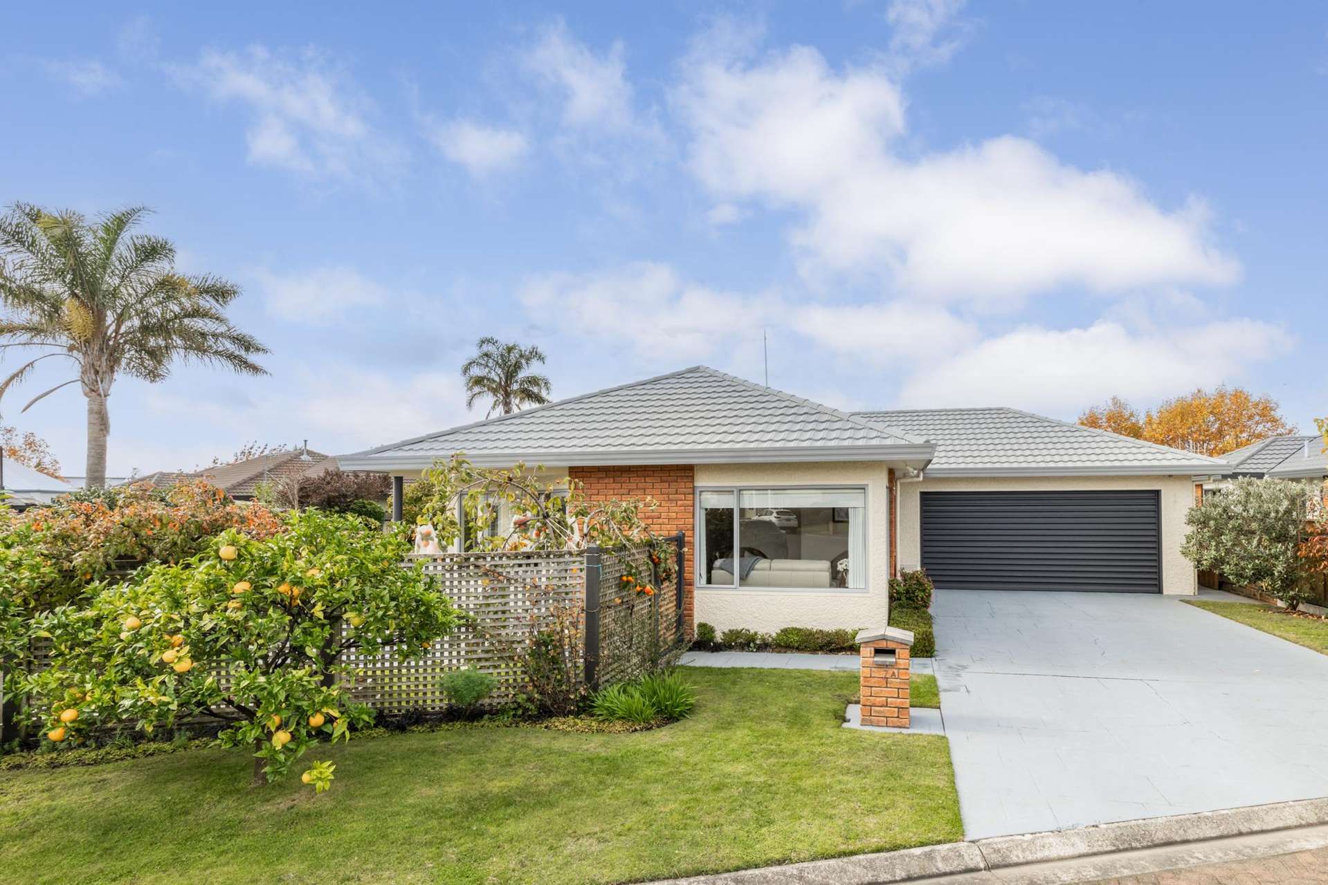 7A Wilton Row Taradale_0