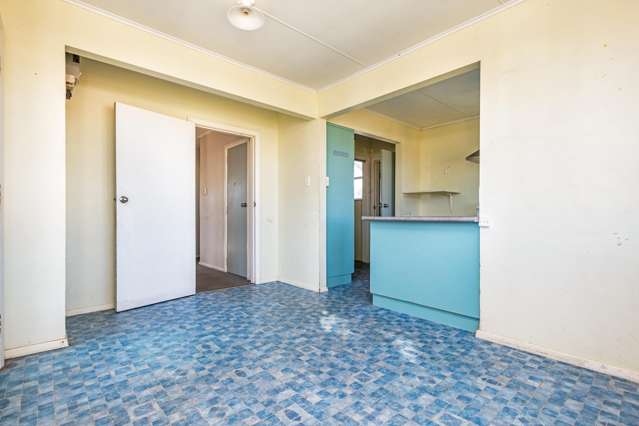 18 Goldsmith Crescent Levin_4