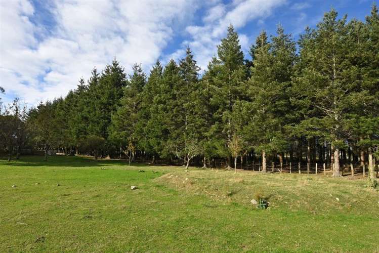 578 Norfolk Road Upper Plain_15