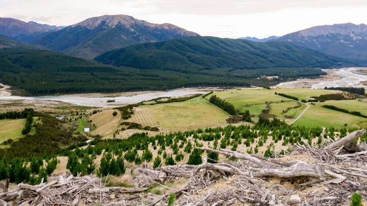 6331 State Highway 63 Wairau Valley_3