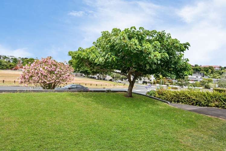 67 Baddeley Avenue Kohimarama_5