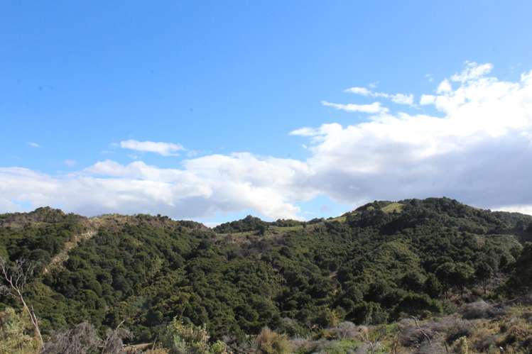 299 Branscombe Road Pongaroa_12