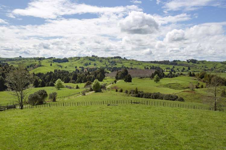 164 Gribbon Road Mahoenui_5