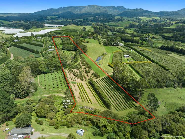 Pine Ridge Lane Aongatete_0