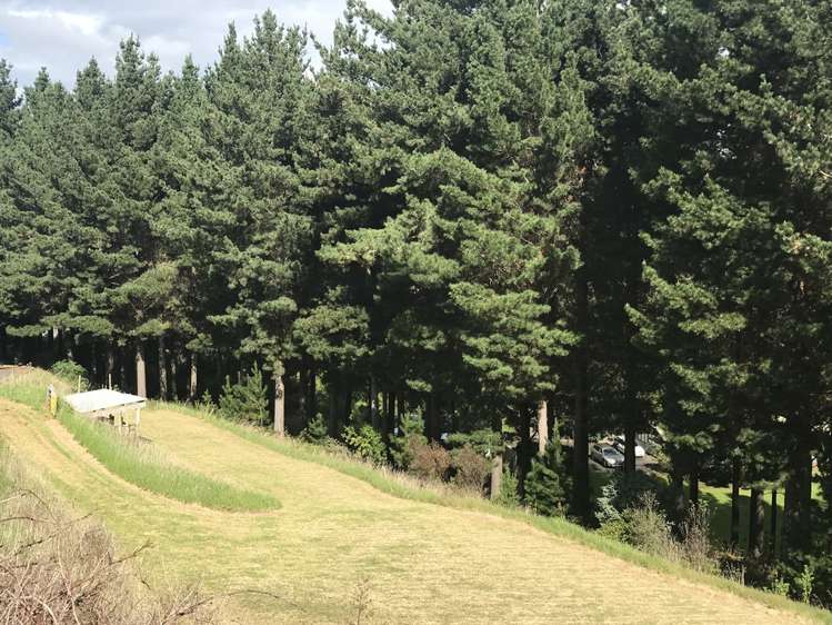 38d Montgomery Road Westmere_1