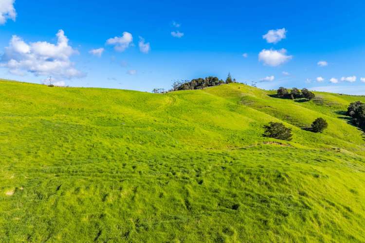 Glenmohr Road Waipu_9