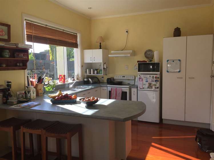 7 Bull Street Bulls_1