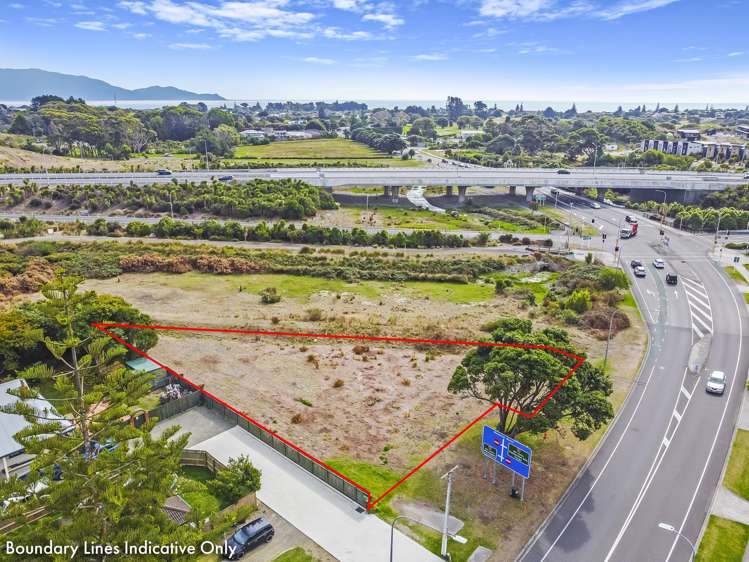 160-162 Te Moana Road_0