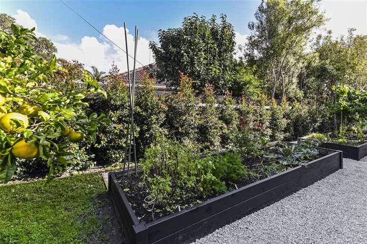 3 First Avenue Stanley Point_15