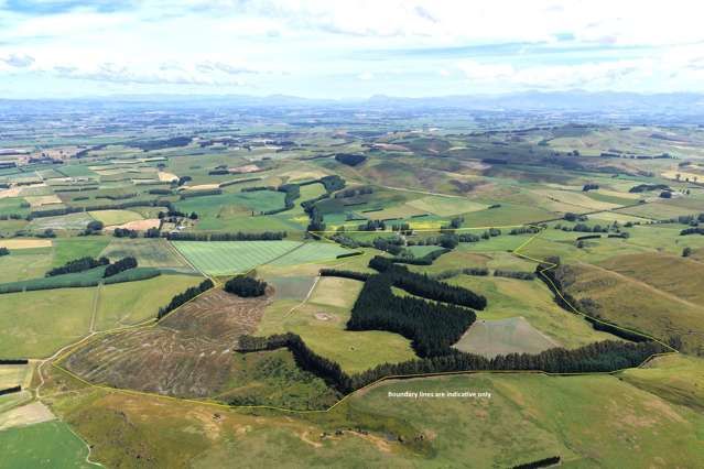 289 Otama Valley Road Otama_3