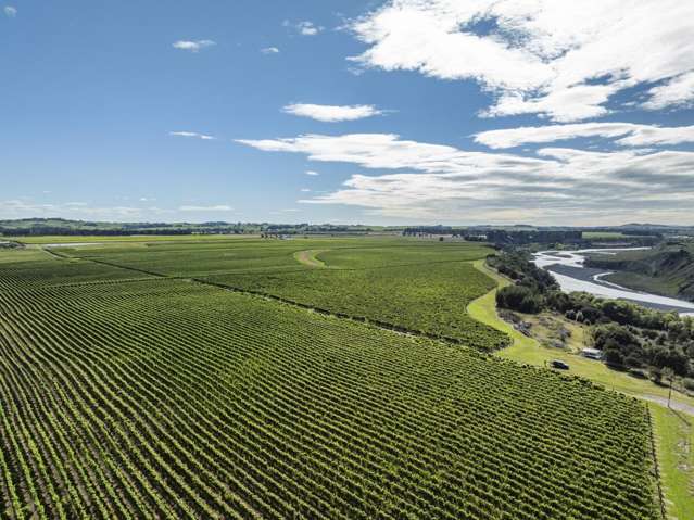 1905 Matapiro Road Crownthorpe_2