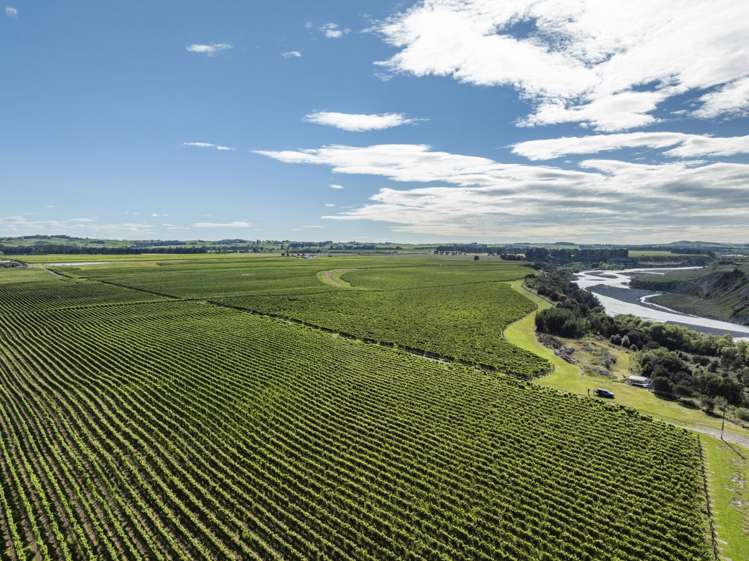 1905 Matapiro Road Crownthorpe_2