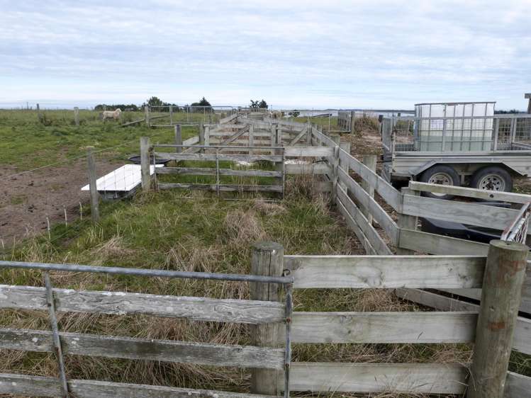 1602/1610 Tokanui Gorge Road Fortrose_21