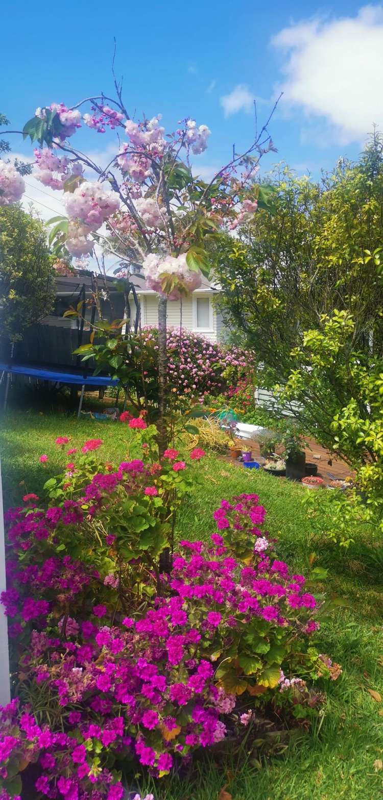 59 Bond Crescent Forrest Hill_21