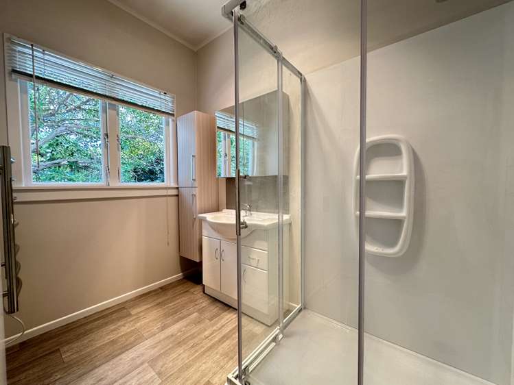 31 Kimberley Road Epsom_14