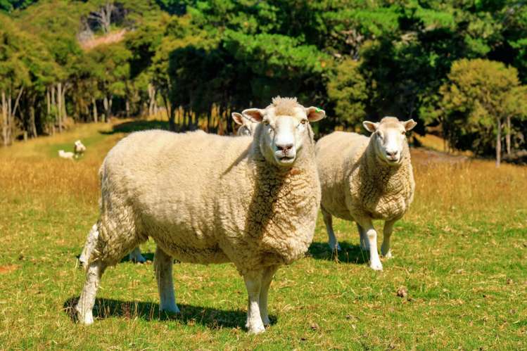 270 Chain Hills Road Chain Hills_37