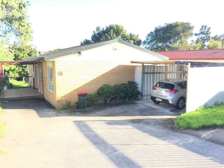 11a Albrecht Avenue Mount Roskill_0