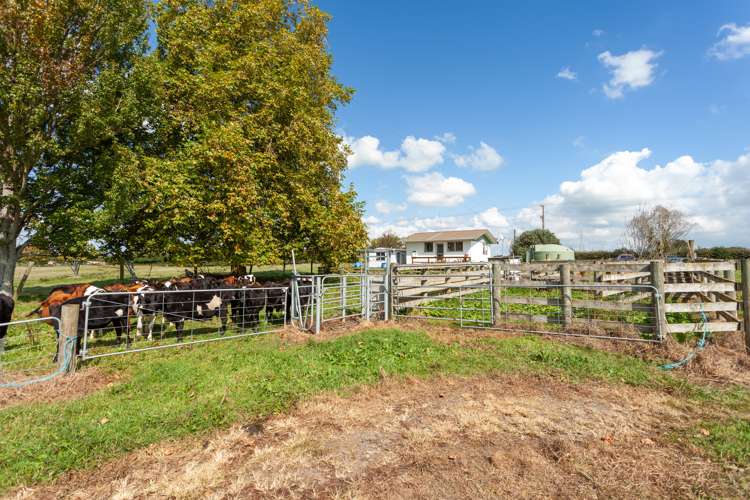 137 Seddon Road Waitoa MatamataPiako Rural Property For Sale