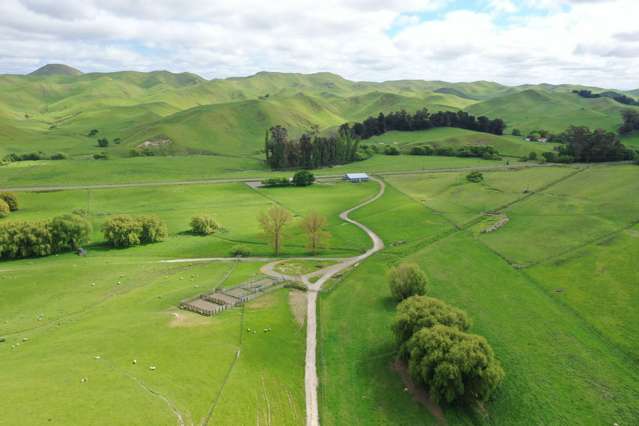 989 Raukawa Road Raukawa_4