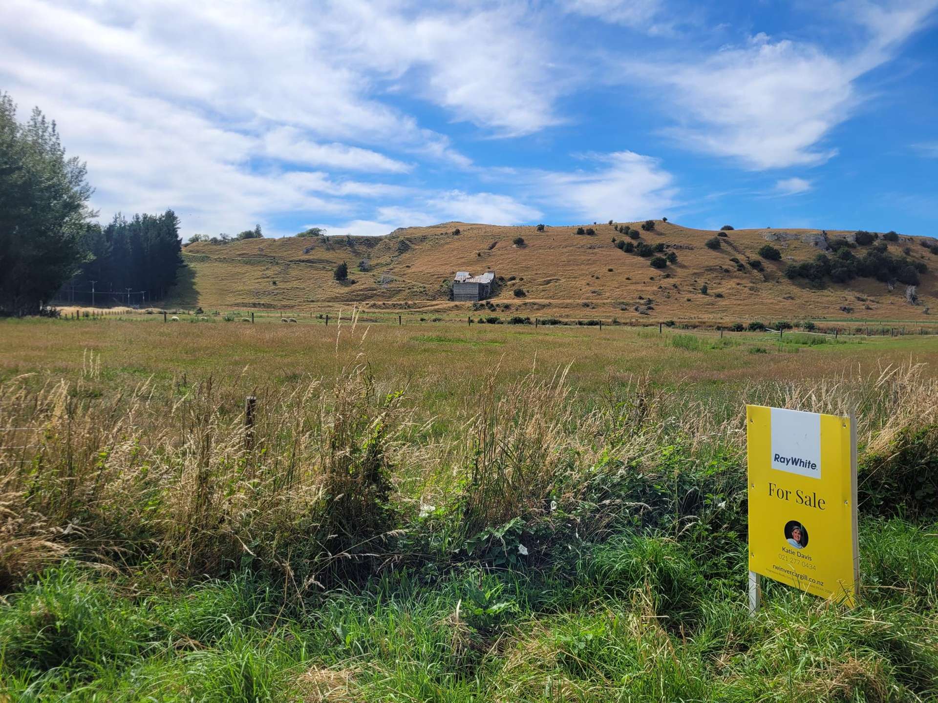 110 Avon Road Centre Bush_0