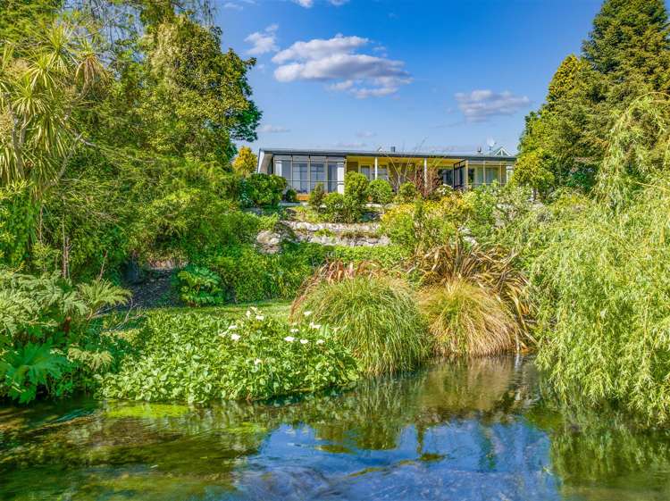 7a Cunliffe Road Redwood_16