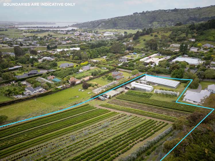 36A Horotane Valley Road Heathcote Valley_12