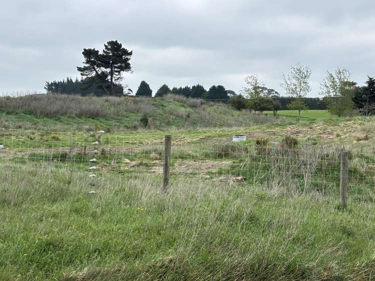 Beach Road Oamaru_3