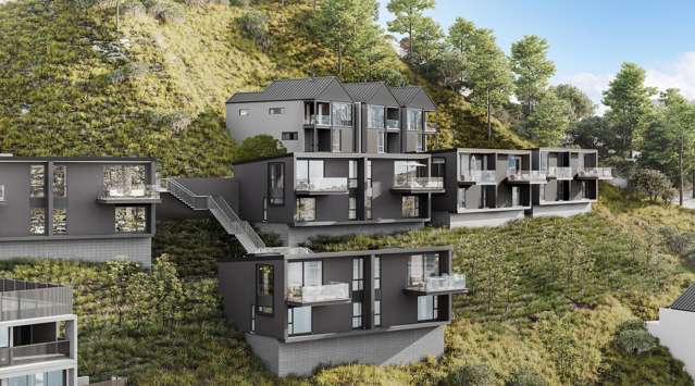 - The Tiers, Woods Lane Queenstown_2