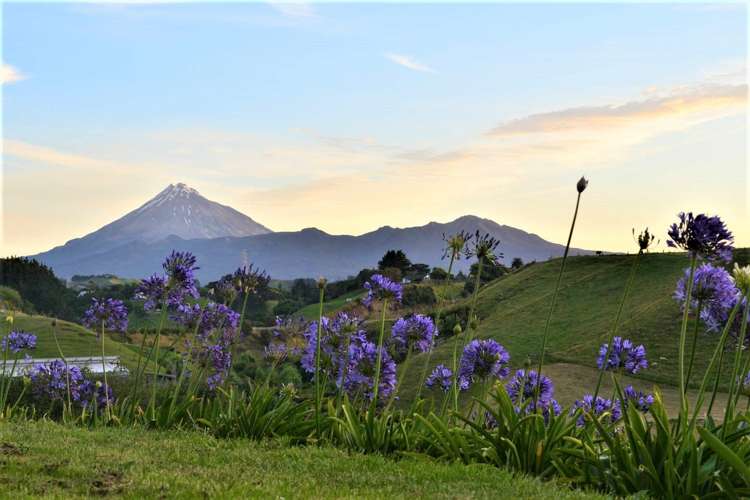 40 Hobart Drive Spotswood_4