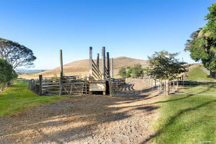 59 Bird Road Waiuku_19