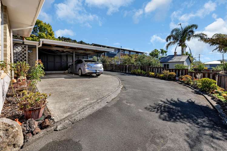 356a Western Hills Drive Avenues_20