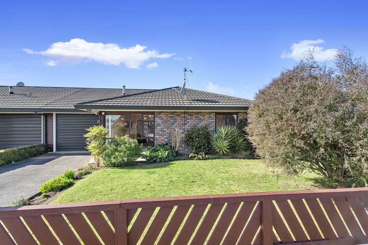 36 Page Street Morrinsville_1