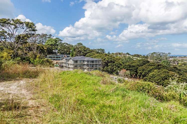 251 Lonely Track Road Albany Heights_11