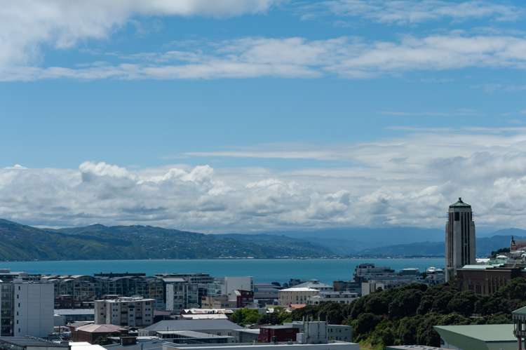 28m Bidwill Street Mount Cook_1