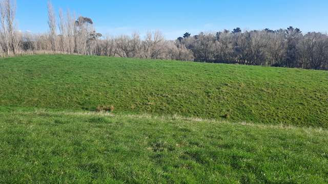 3 Williams Road Tokomaru_3