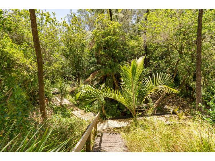 20 Access Heights Kerikeri_34