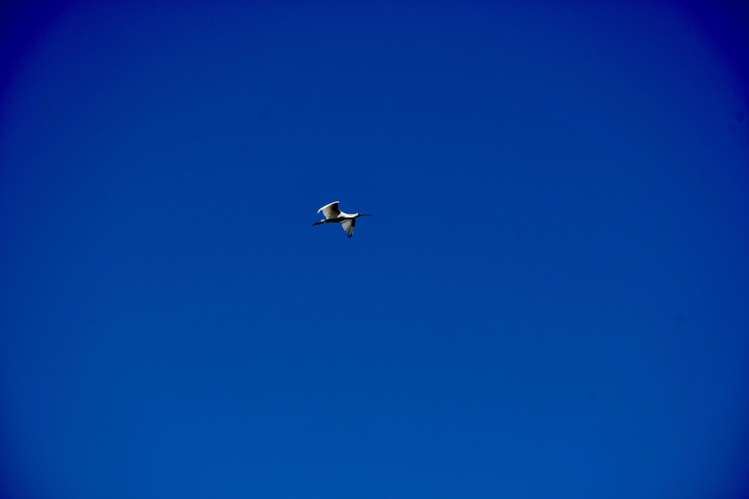 Lot 4 Nth Karamea Road Karamea_38