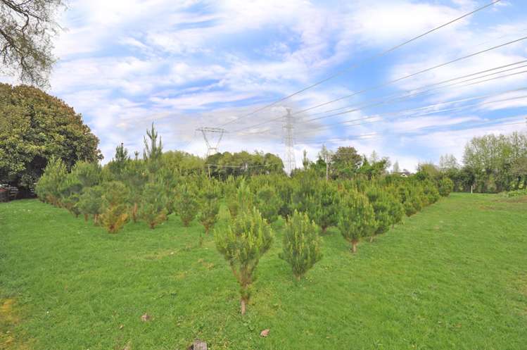 478a Puketaha Road Puketaha_24