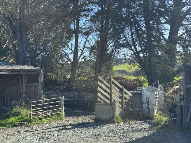 136 Coe Road Lovells Flat_25