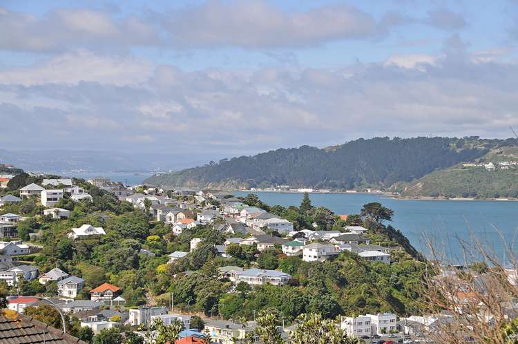 16a Colville Street Newtown_12