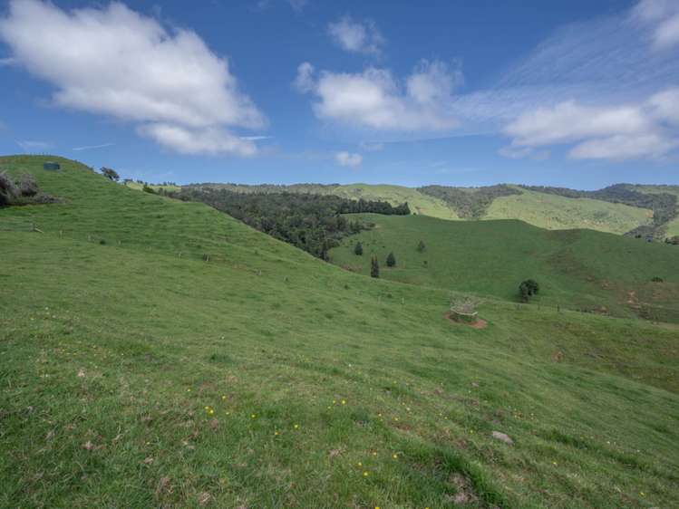 223 Coutts Road Marokopa_19