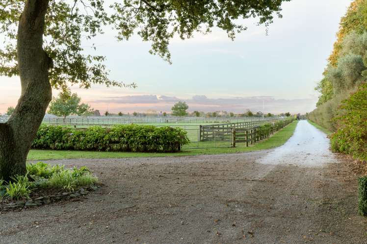 244 Mystery Creek Road Ohaupo_23