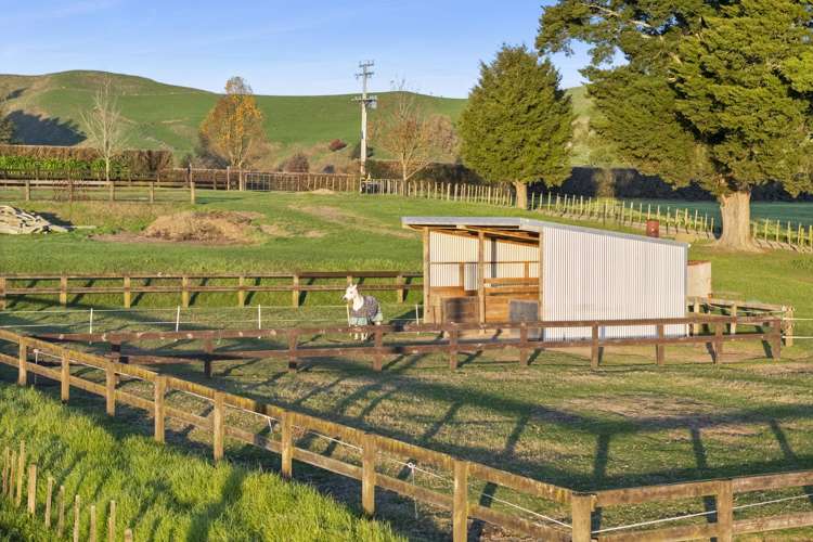 418 Parklands Road Rotoorangi_20