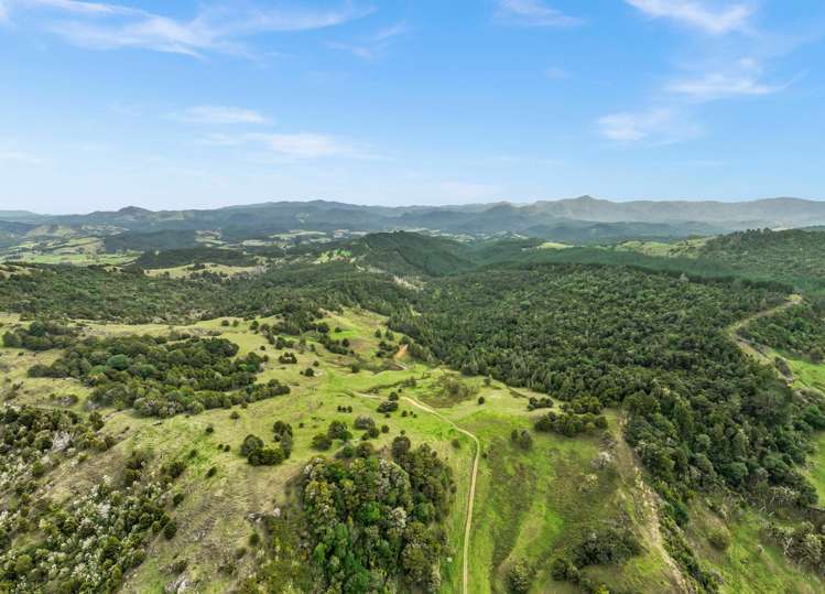535 Omahuta Road Mangamuka_31
