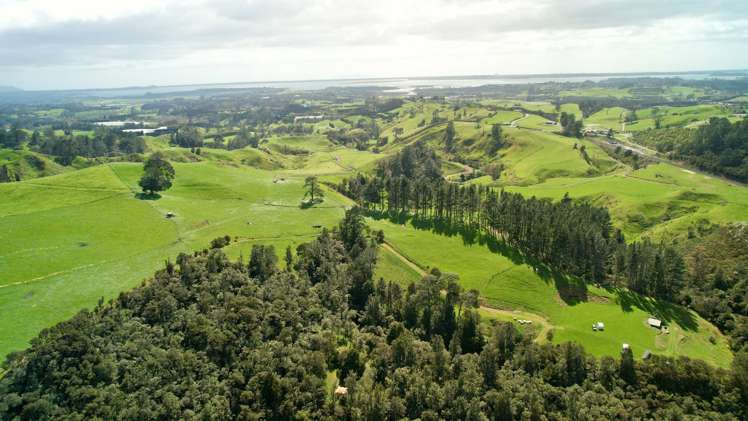 717 Wright Road Aongatete_23